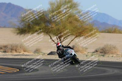 media/Feb-04-2023-SoCal Trackdays (Sat) [[8a776bf2c3]]/Turn 4 (Tree of Life 2pm)/